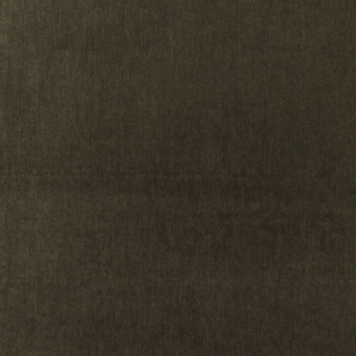 WHISTLER VELVET_ SHADOW