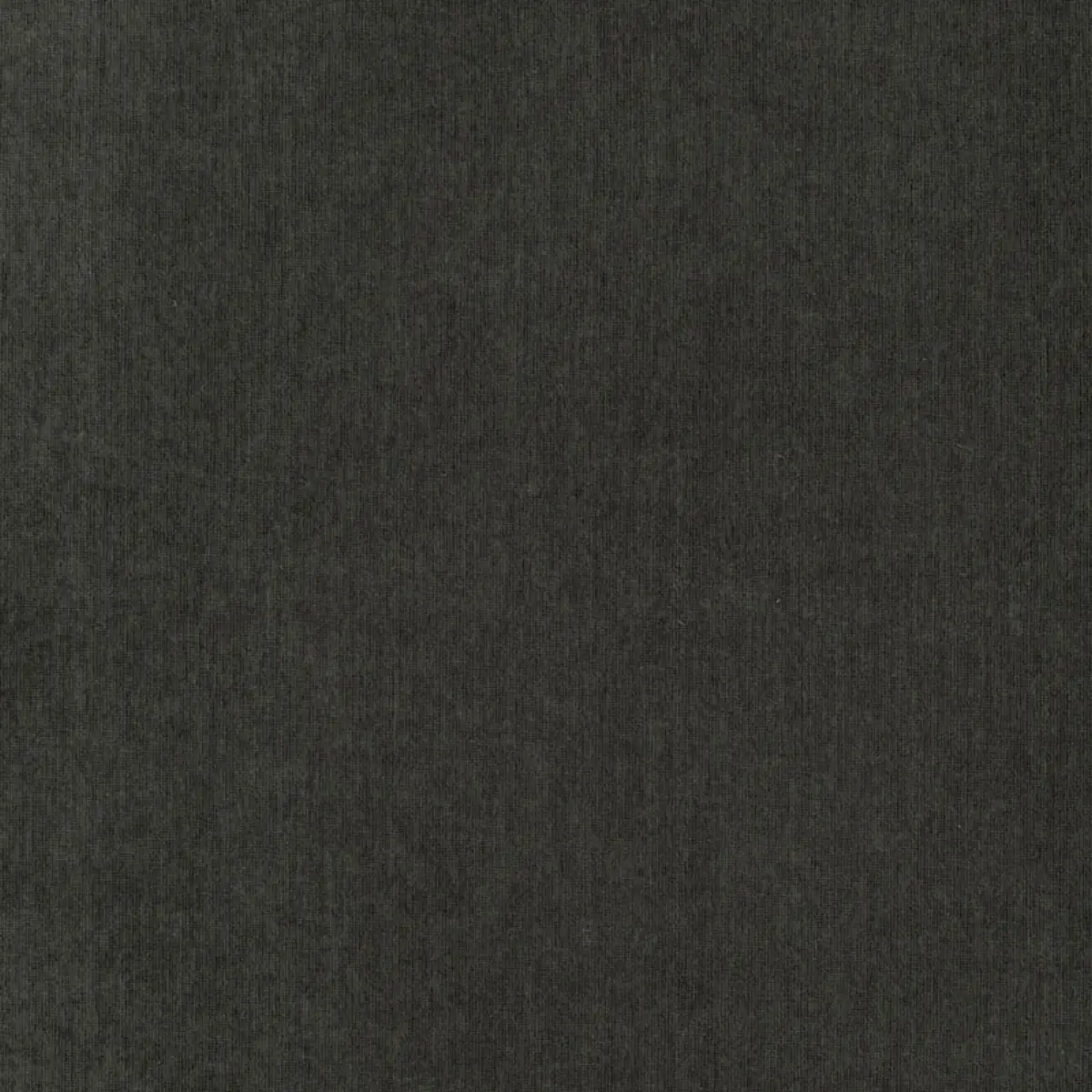 WHISTLER VELVET_ ANTHRACITE