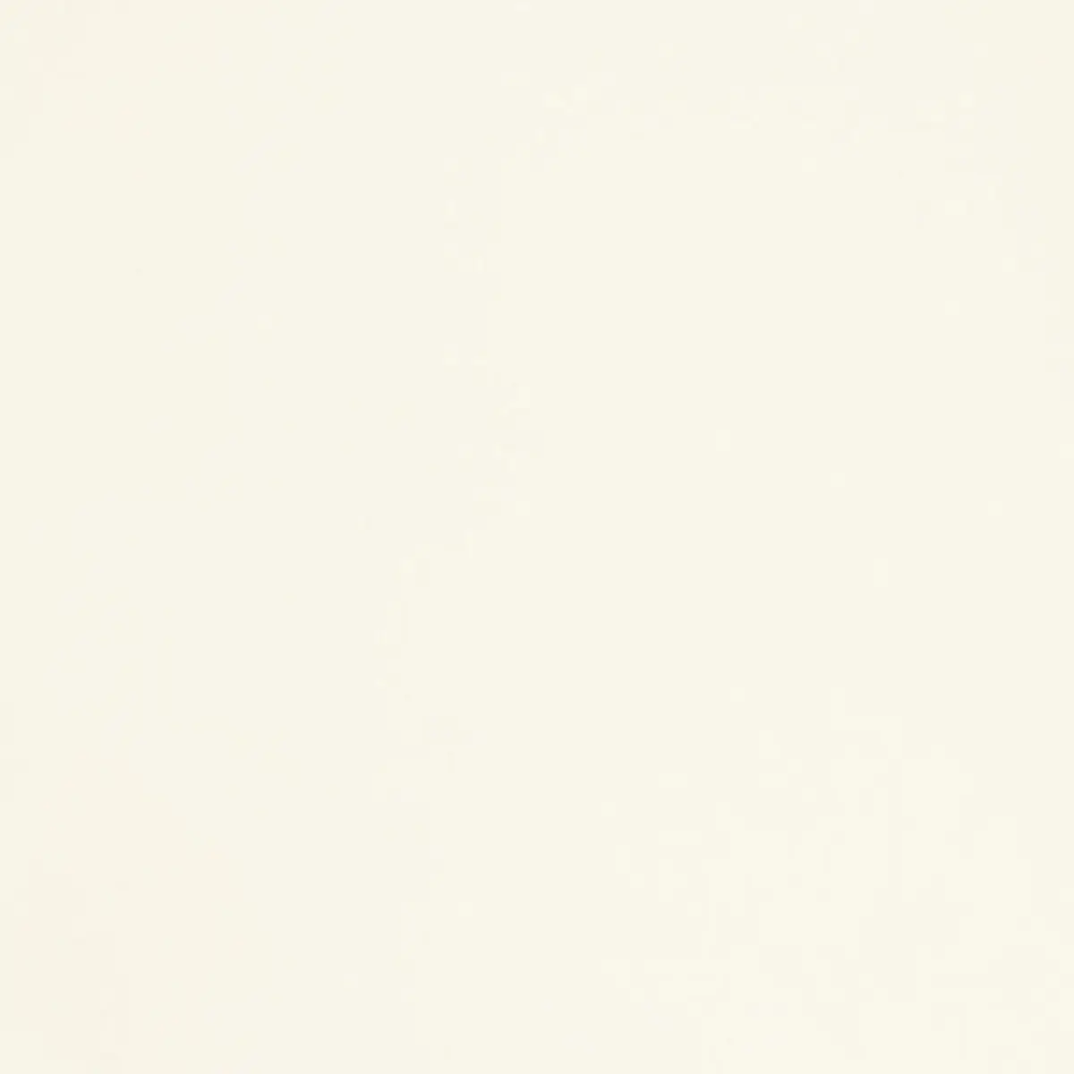 CHESTER WOOL_ BLANC