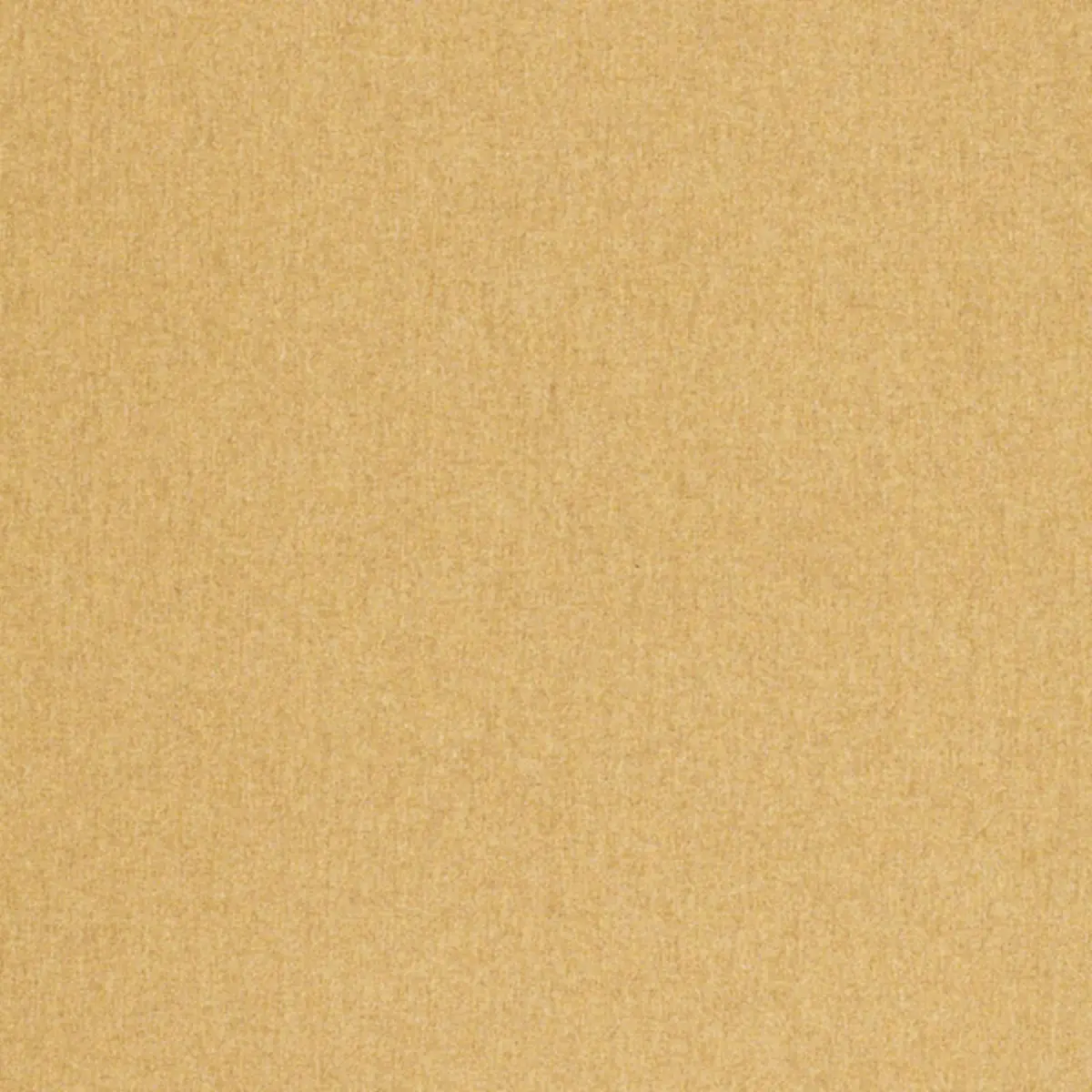 CHESTER WOOL_ WHEAT