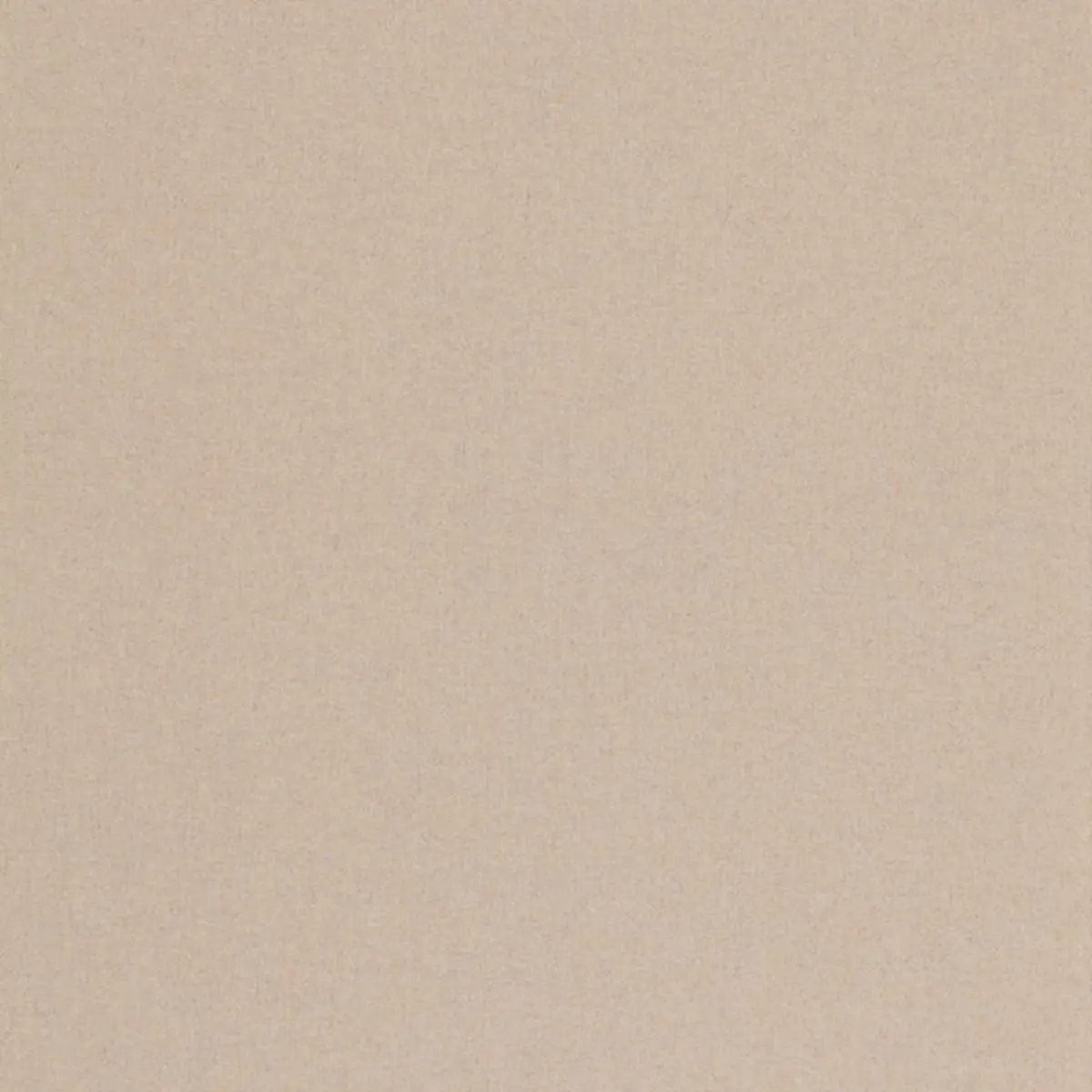 CHESTER WOOL_ CHANTERELLE