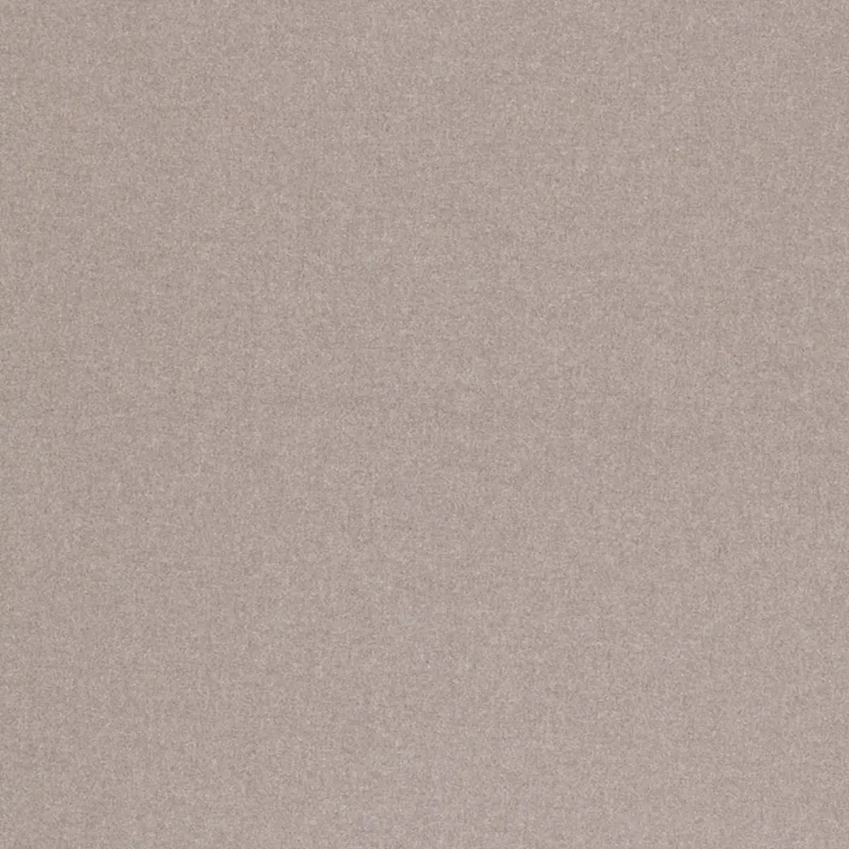 CHESTER WOOL_ DOVE