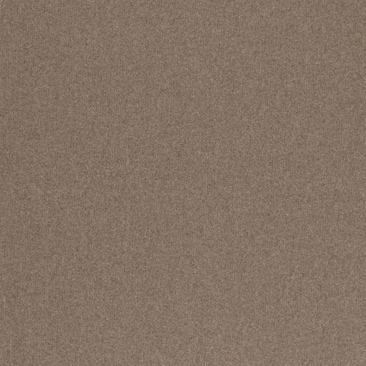 CHESTER WOOL_ GRAPHITE