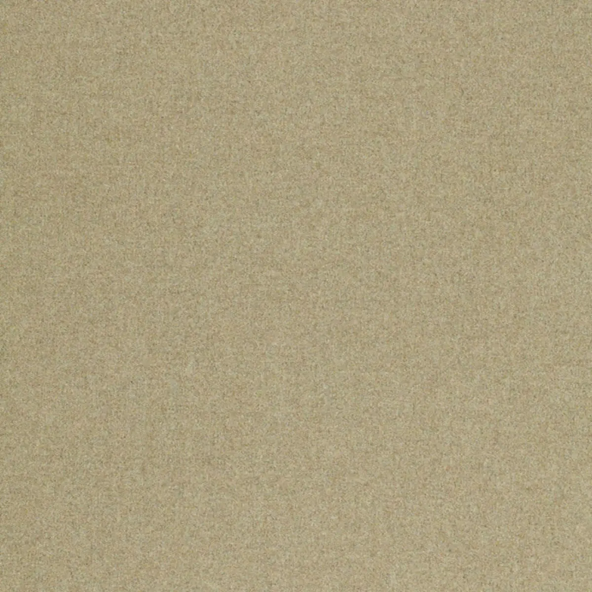 CHESTER WOOL_ HERB