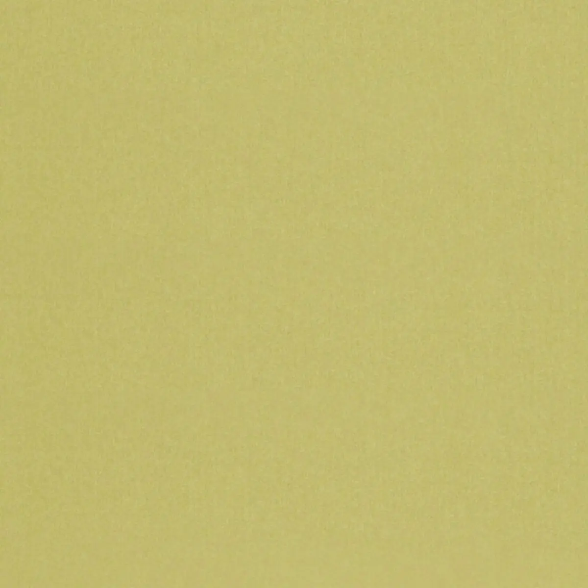 CHESTER WOOL_ PEAR