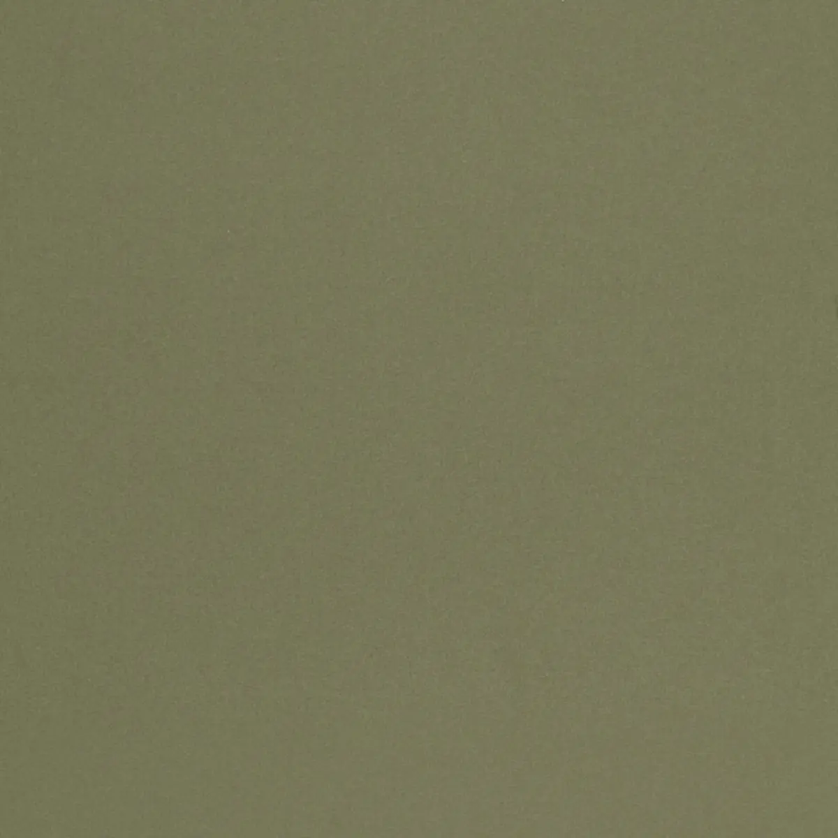 CHESTER WOOL_ LODEN