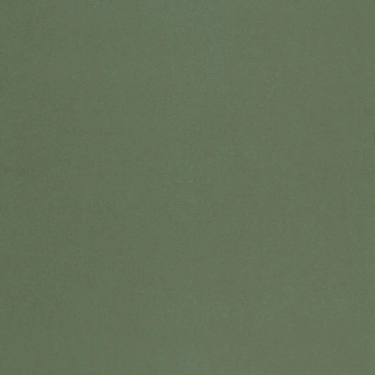 CHESTER WOOL_ SPRUCE