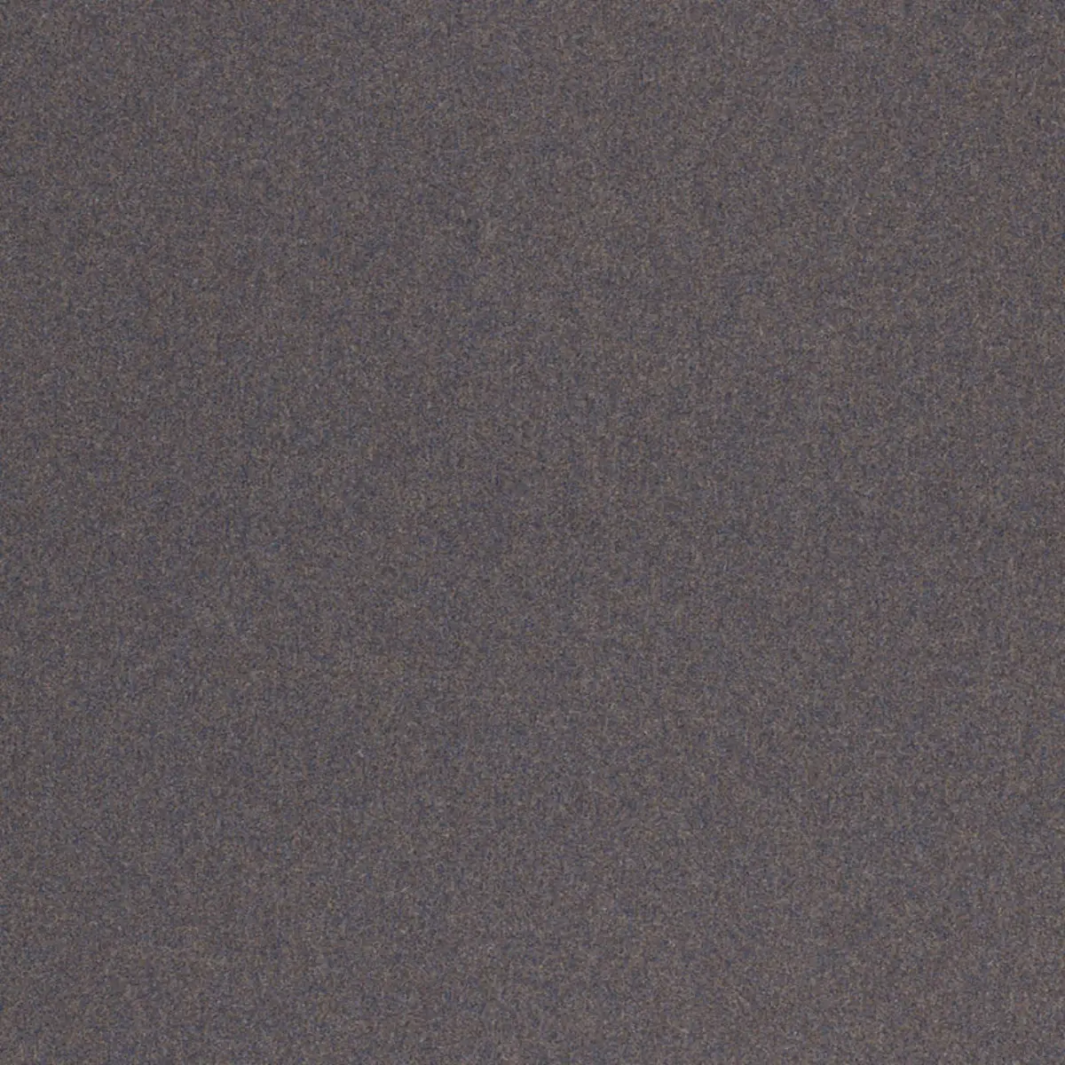 CHESTER WOOL_ DUSK
