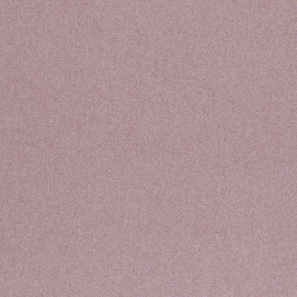 CHESTER WOOL_ MULBERRY