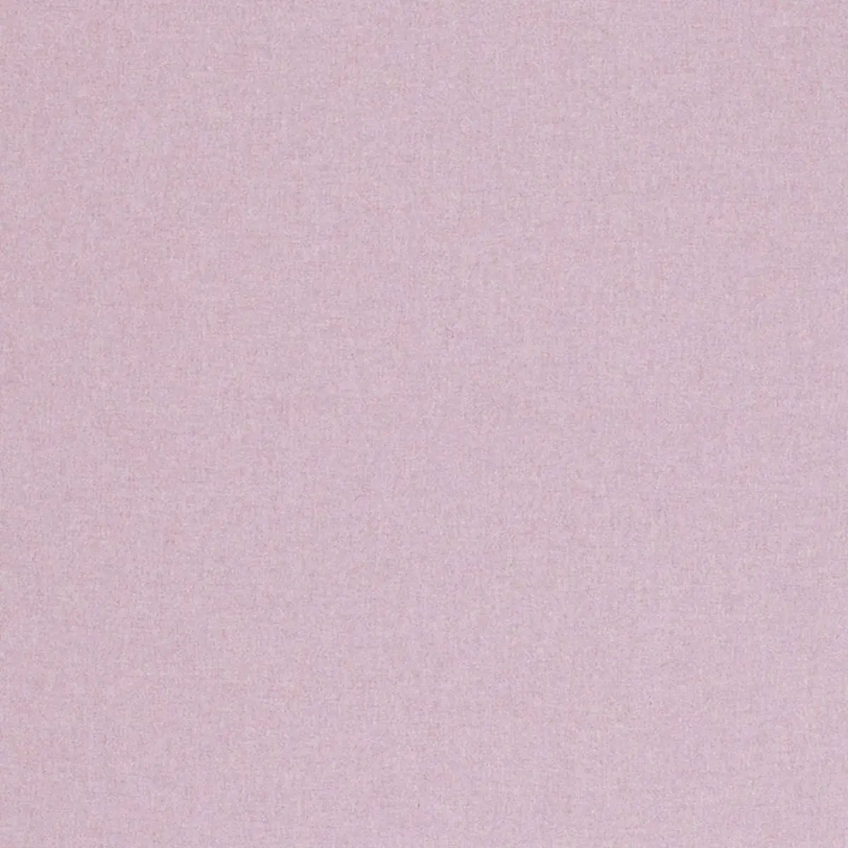 CHESTER WOOL_ LILAC