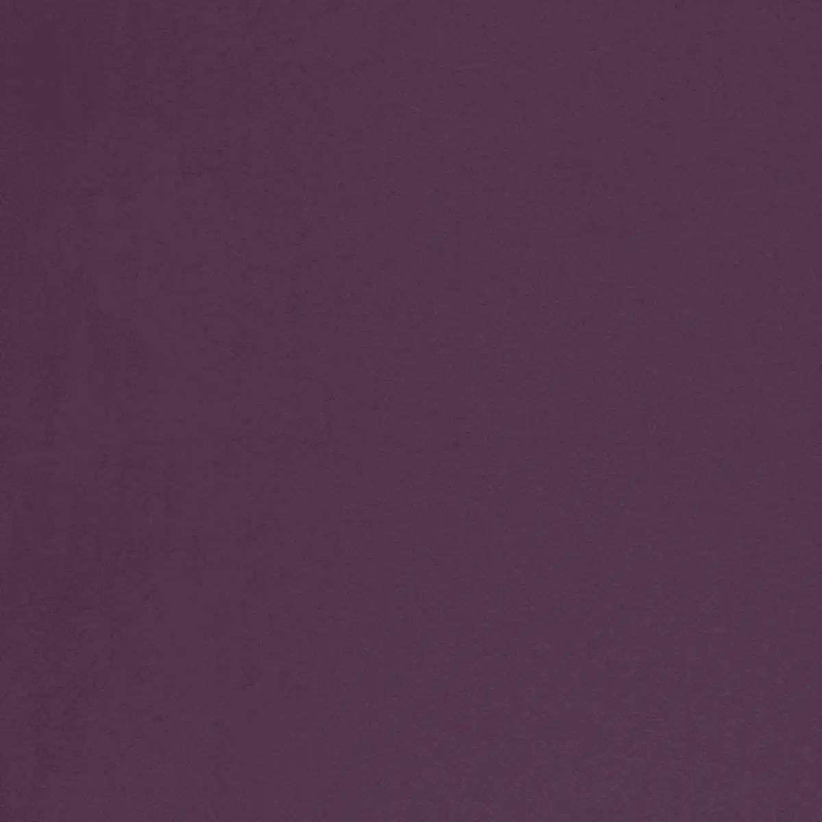 CHESTER WOOL_ IRIS