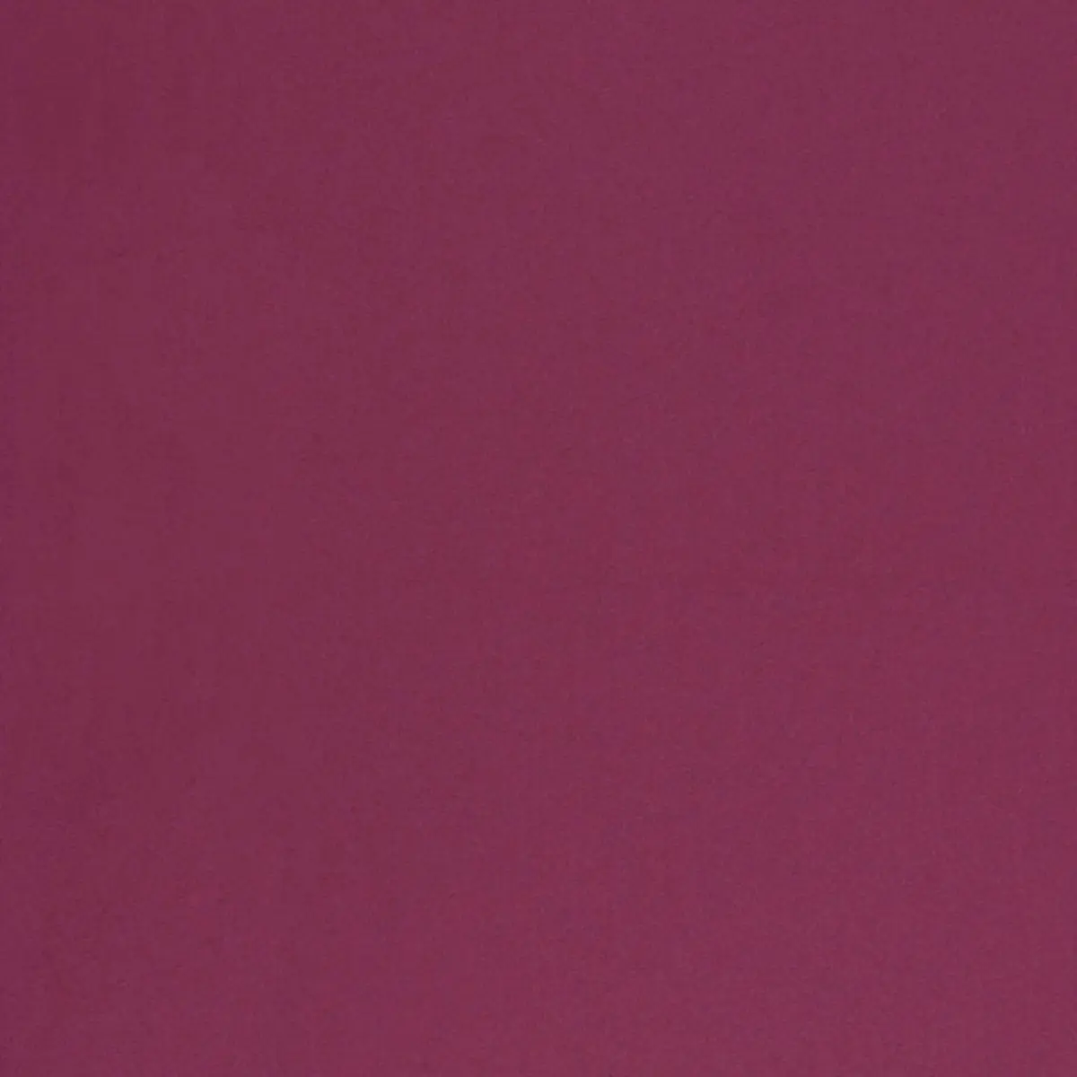 CHESTER WOOL_ GRAPE