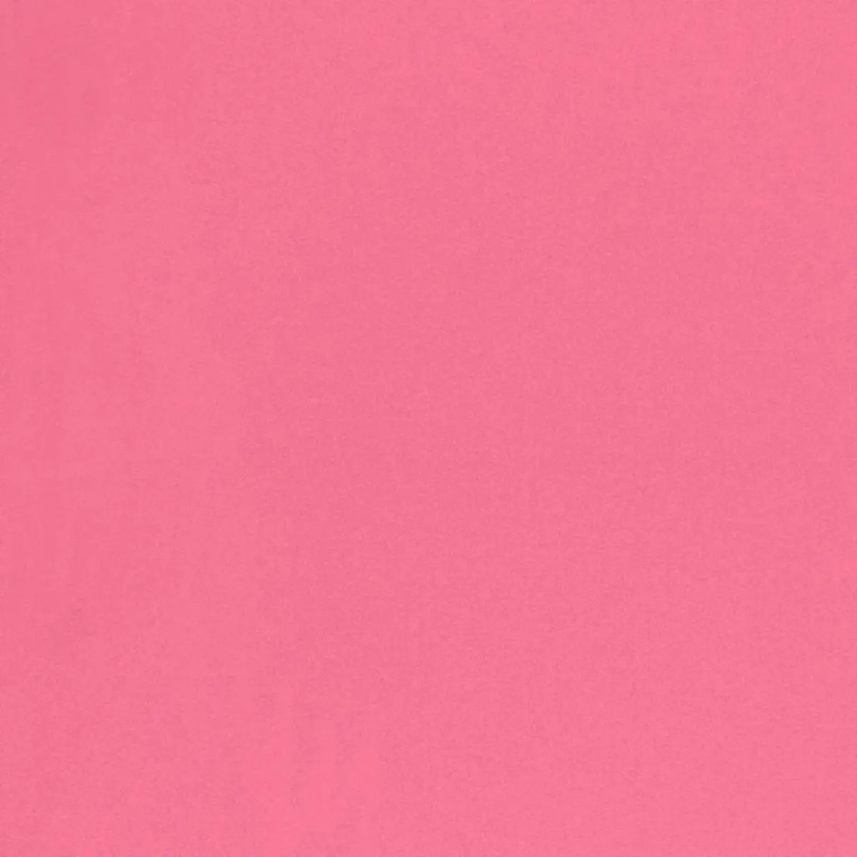 CHESTER WOOL_ AZALEA