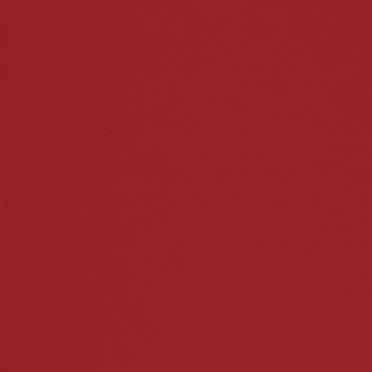 CHESTER WOOL_ ROUGE