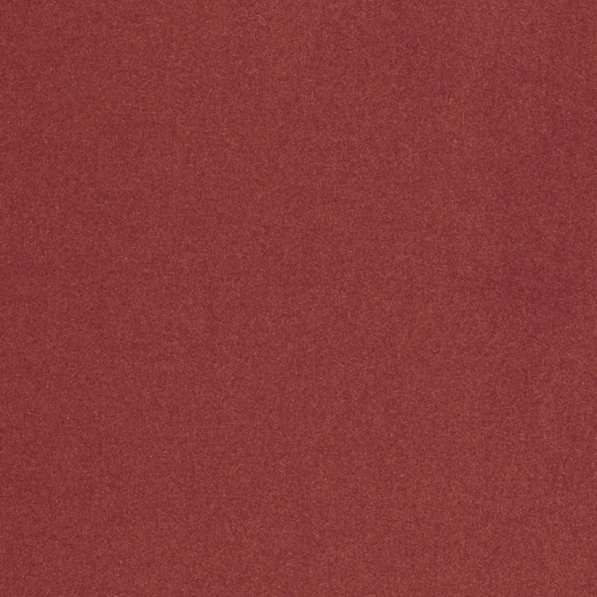 CHESTER WOOL_ SHIRAZ