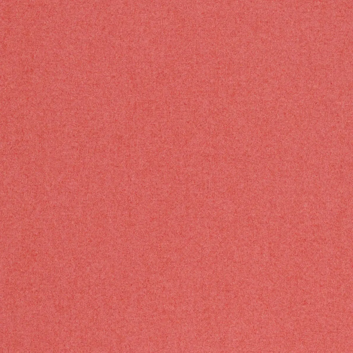 CHESTER WOOL_ BERRY