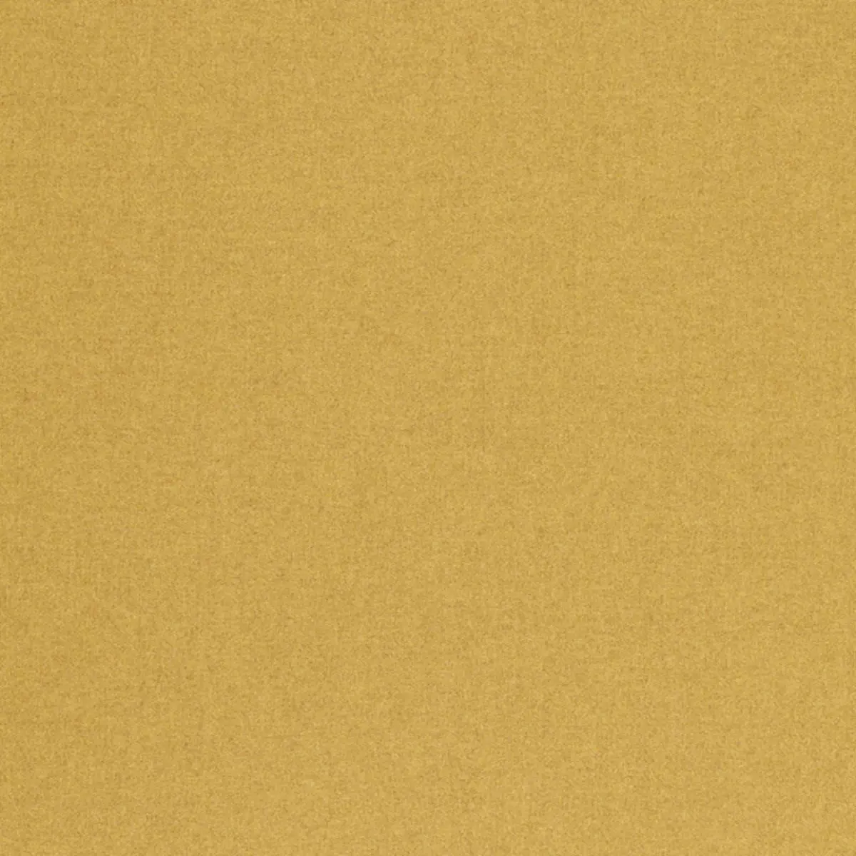 CHESTER WOOL_ DIJON