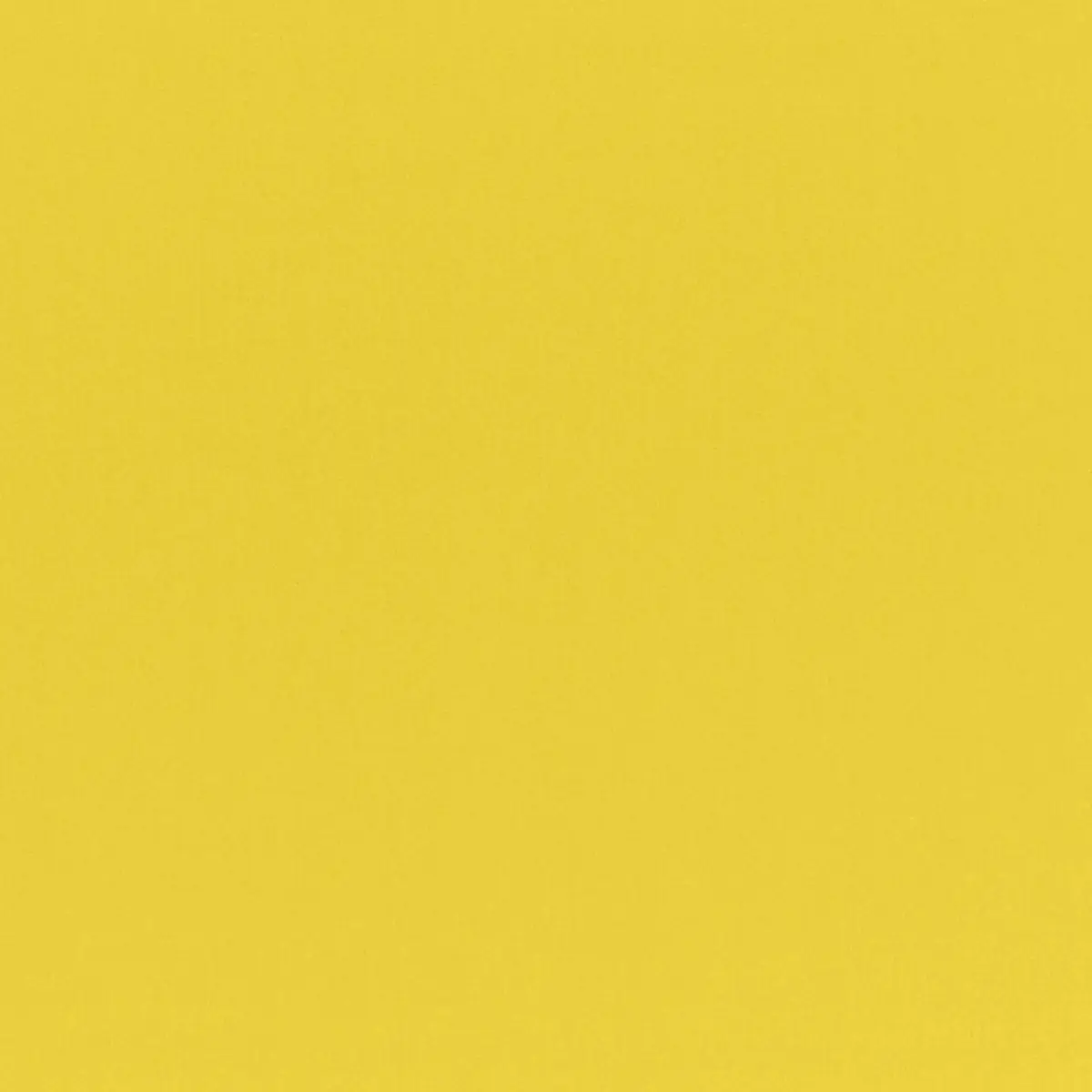 PRESTWICK WOOL SATIN_ FORSYTHIA