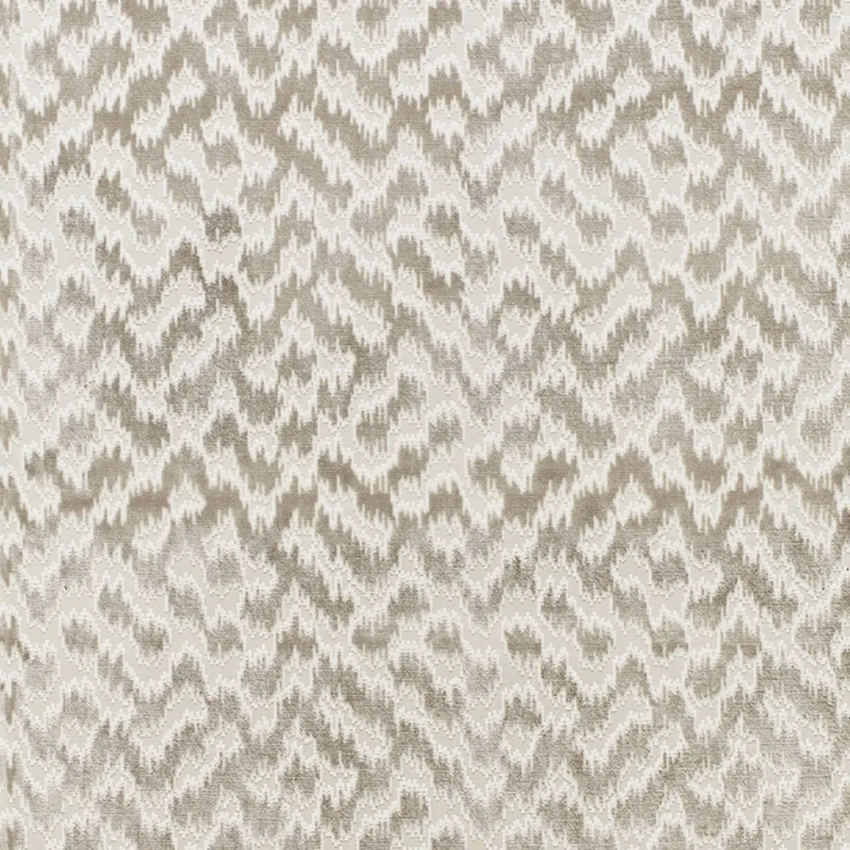 SERENISSIMO VELVET_ FOG
