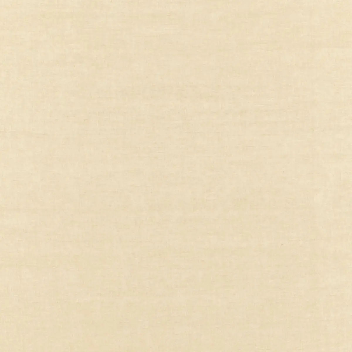 BECKFORD COTTON PLAIN_ KHAKI
