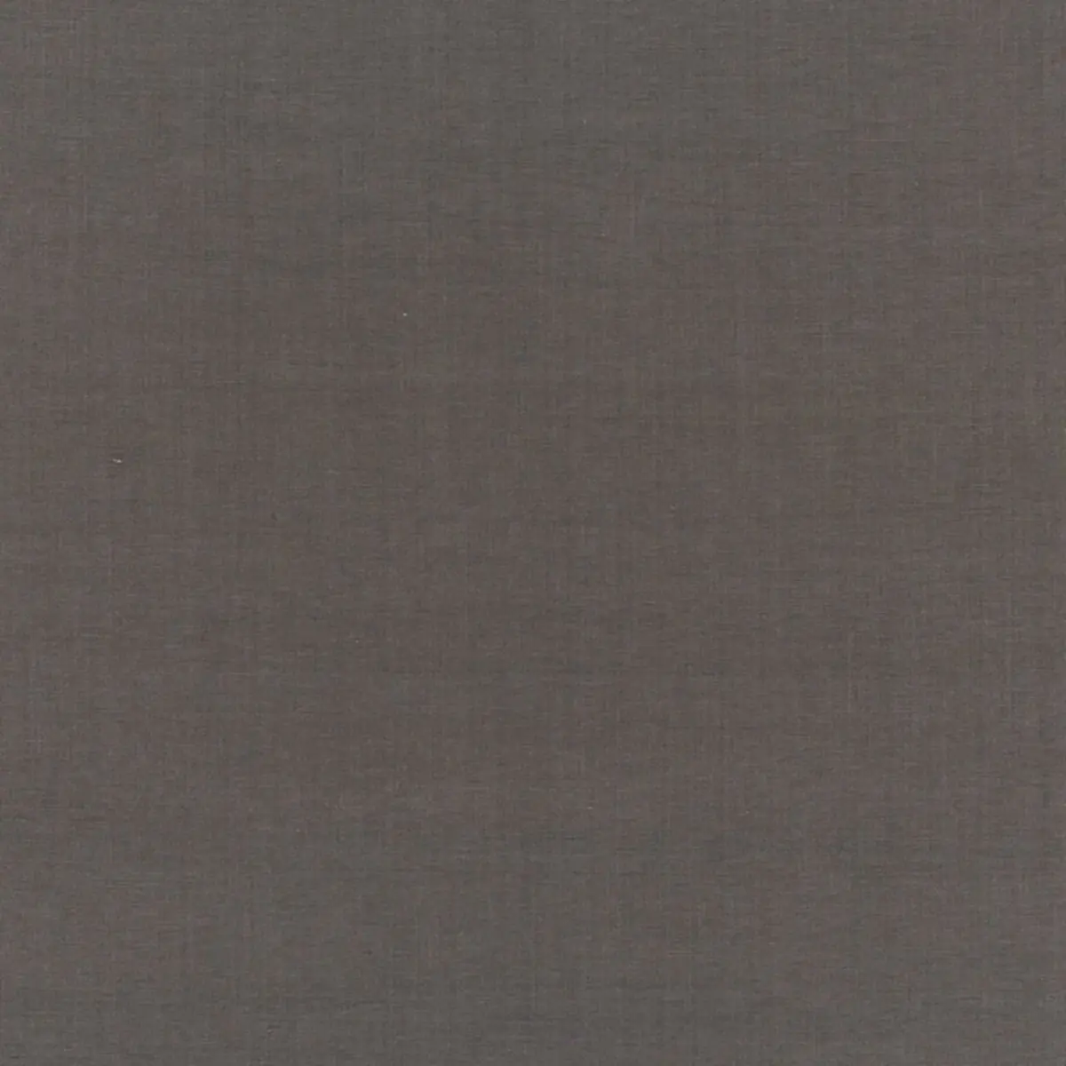 BECKFORD COTTON PLAIN_ GRAPHITE