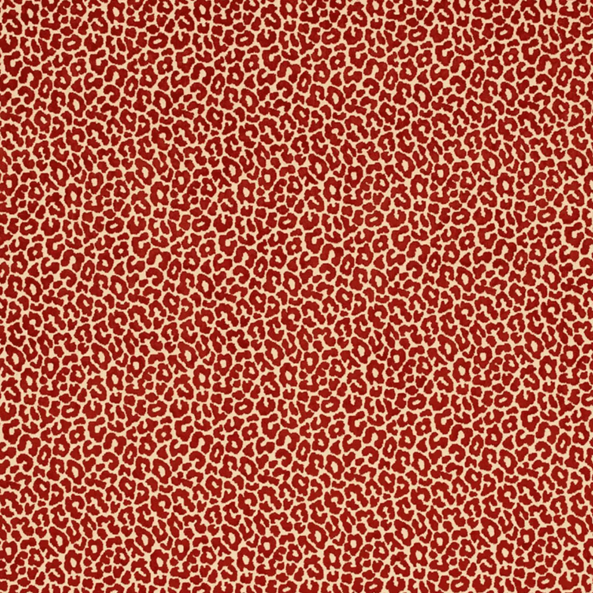MADELEINE VELVET_ GRENADINE