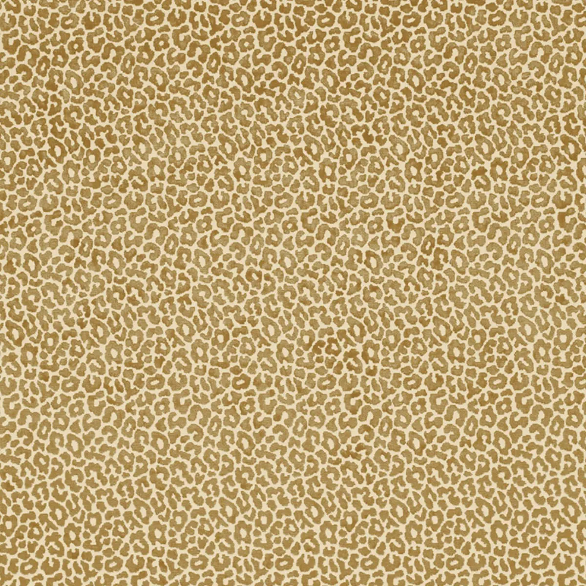 MADELEINE VELVET_ CAMEL