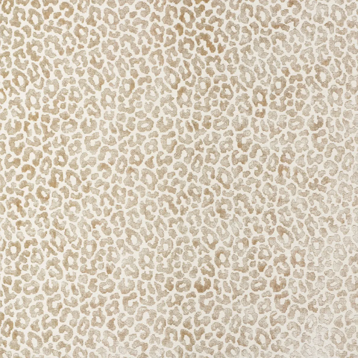 MADELEINE VELVET_ NATURAL
