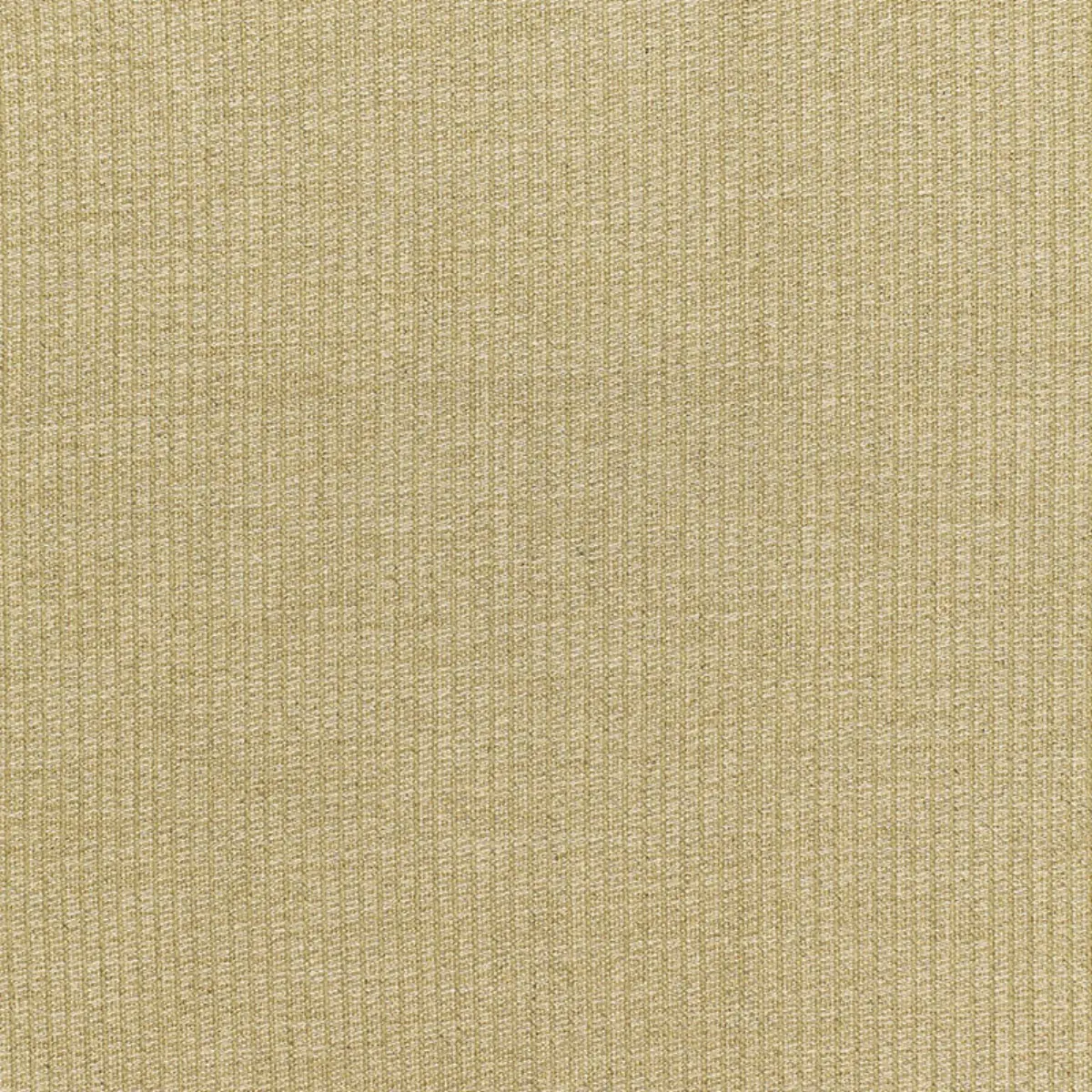 GOLD DUST_ GILT
