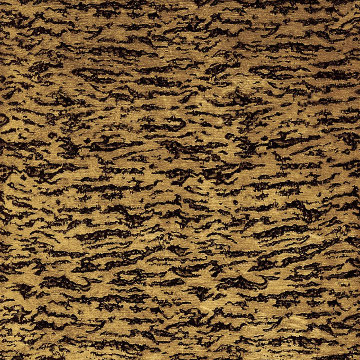 SERENGETI_ TIGRE