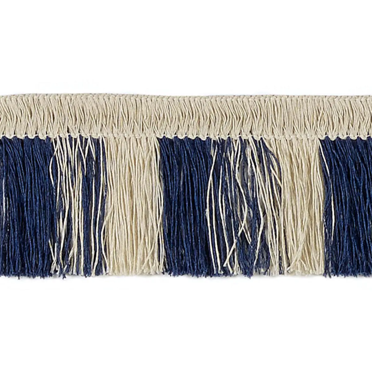 PALM FROND_ MARINE