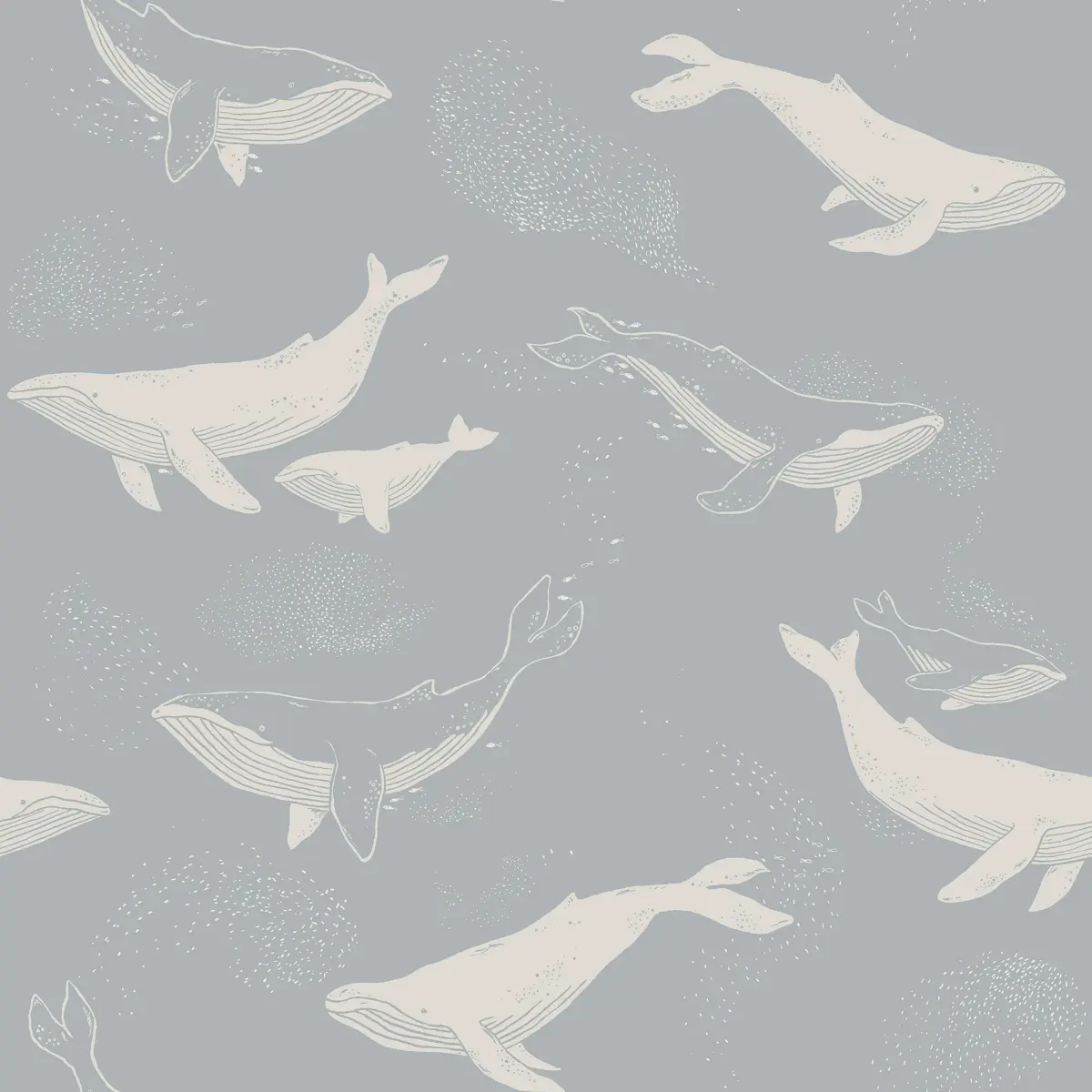 WHALES_ SLATE