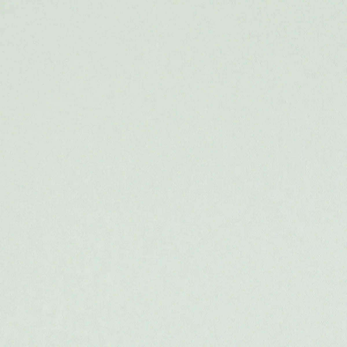 ELLIOTT BRUSHED COTTON_ IVORY