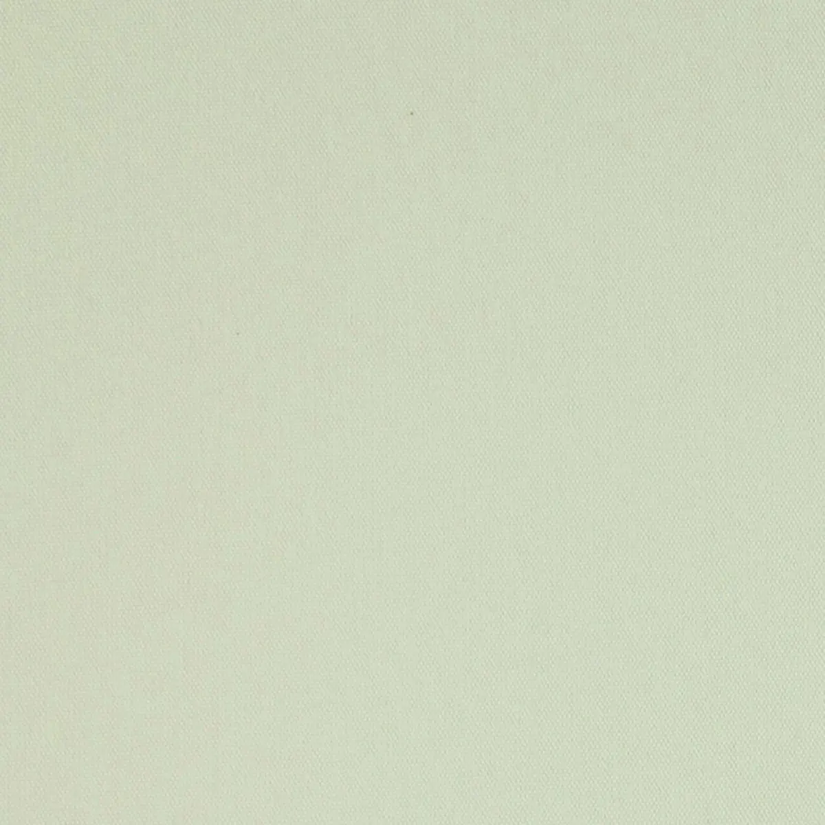 ELLIOTT BRUSHED COTTON_ CHAMOIS