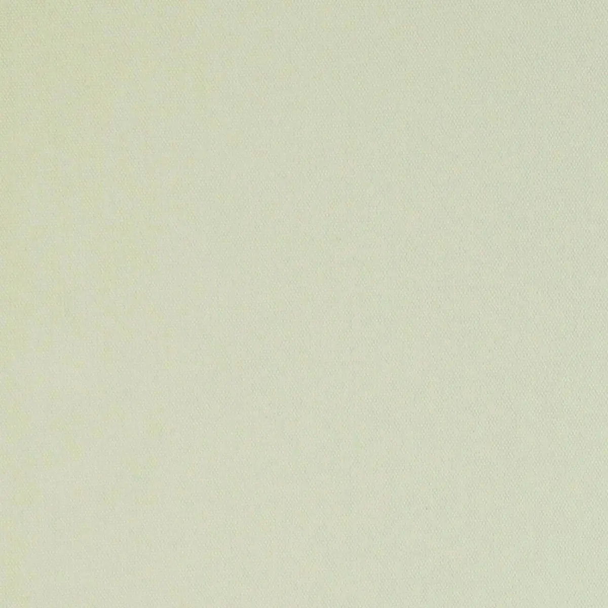 ELLIOTT BRUSHED COTTON_ BUTTERMILK