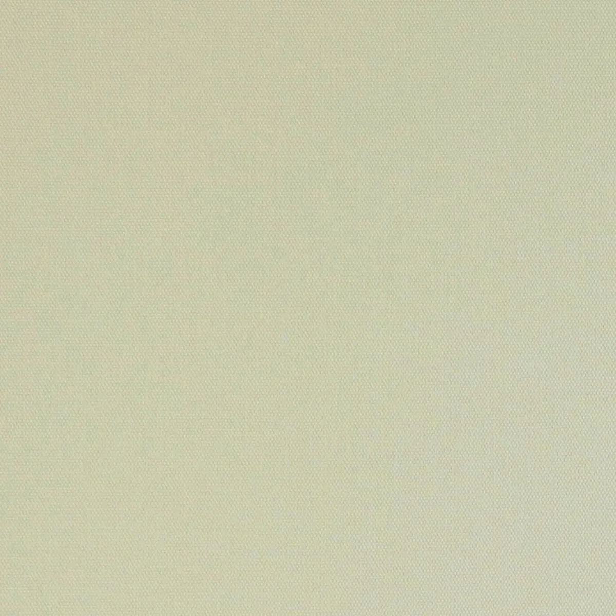 ELLIOTT BRUSHED COTTON_ SAND