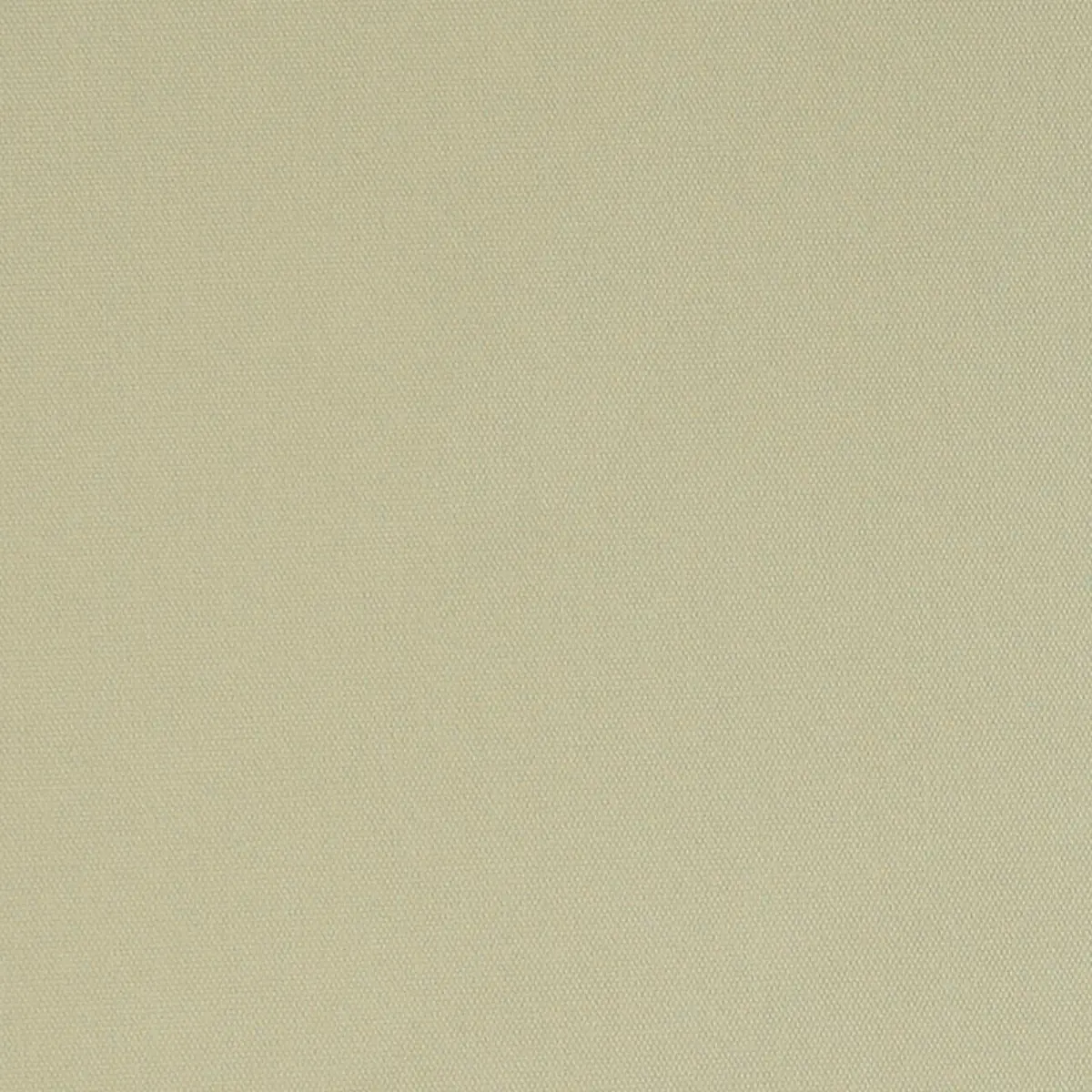 ELLIOTT BRUSHED COTTON_ RATTAN