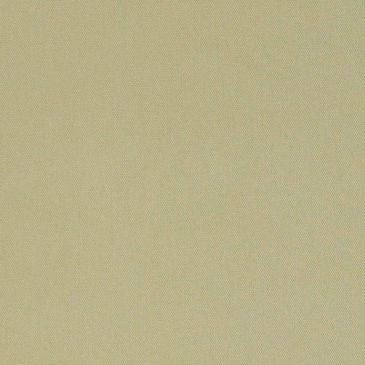 ELLIOTT BRUSHED COTTON_ STRAW