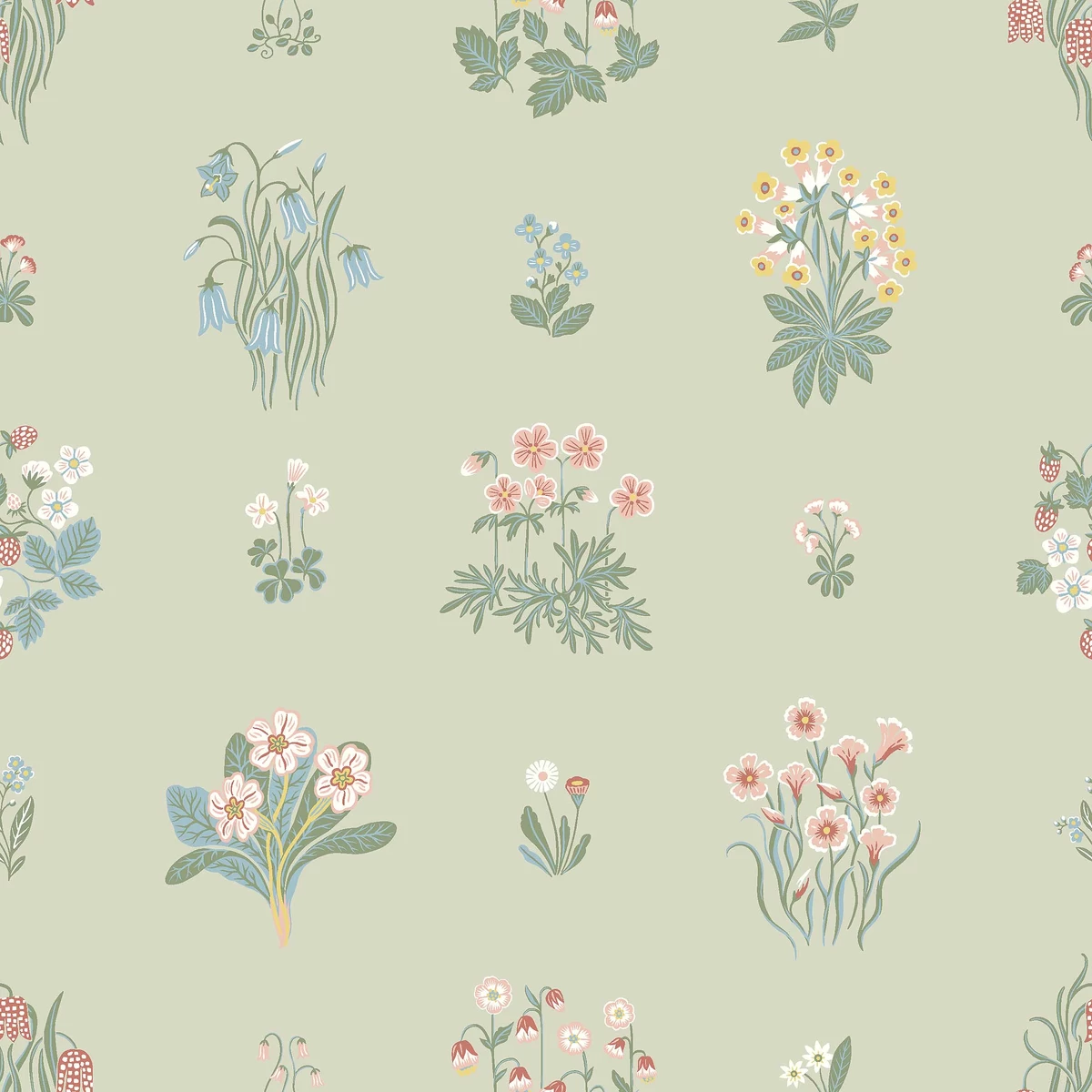 ÄNGSFLORA_ SAGE