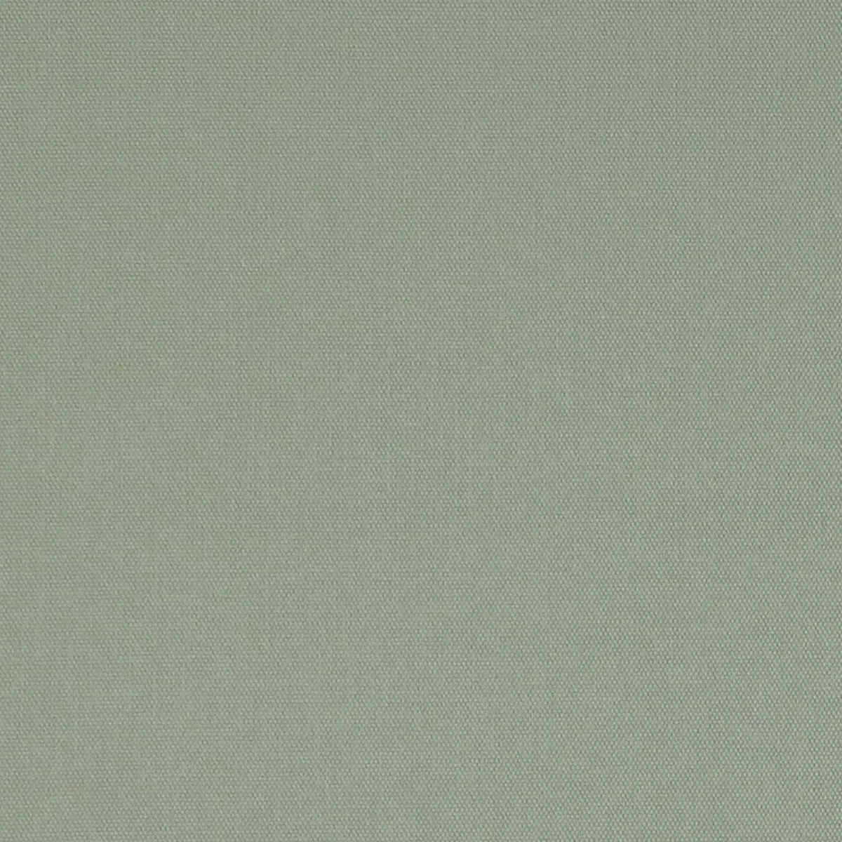 ELLIOTT BRUSHED COTTON_ PEBBLE