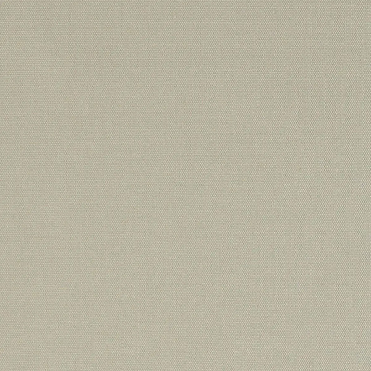 ELLIOTT BRUSHED COTTON_ BUFF