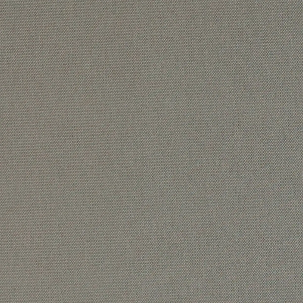 ELLIOTT BRUSHED COTTON_ MOCHA