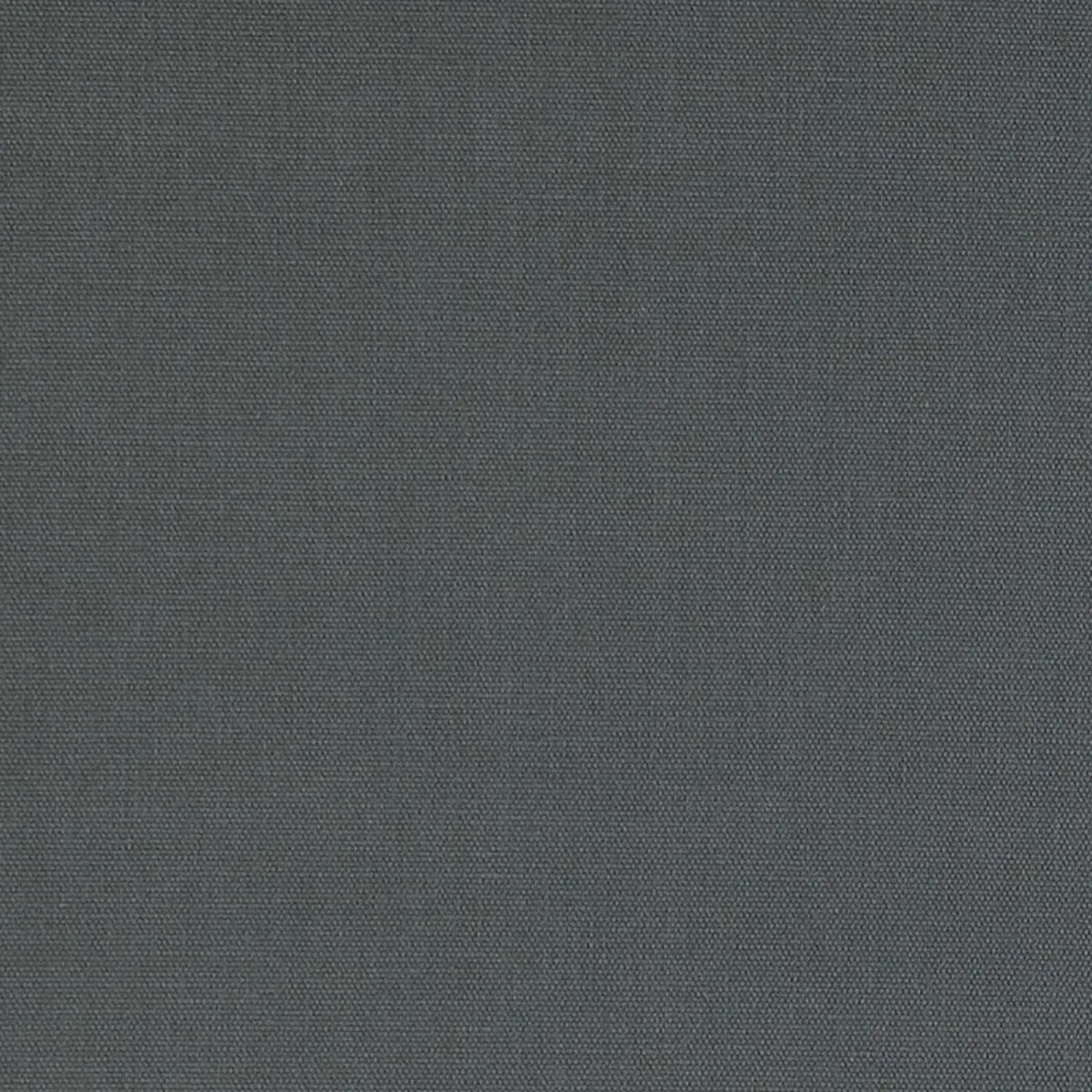 ELLIOTT BRUSHED COTTON_ CARBON