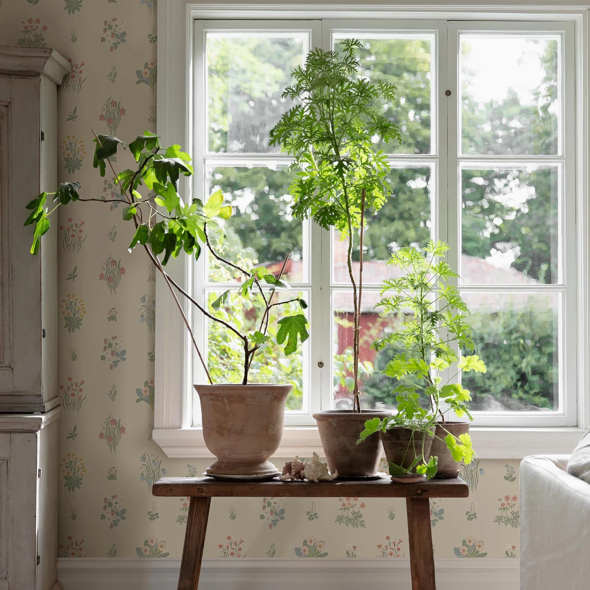 ÄNGSFLORA_ SPRING