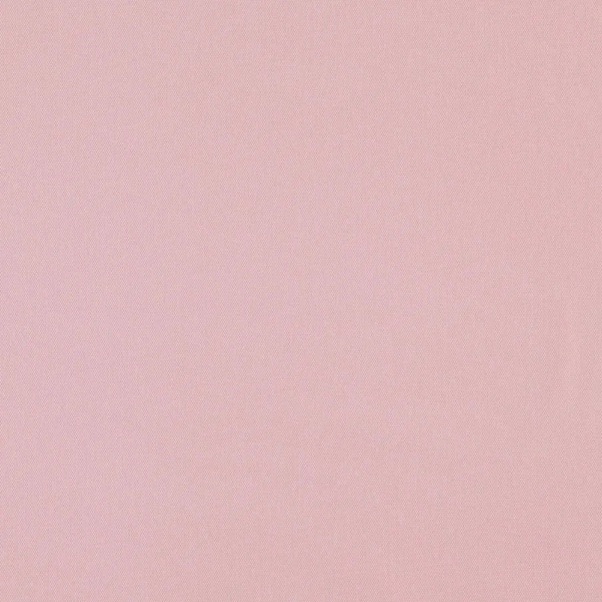ELLIOTT BRUSHED COTTON_ PETAL
