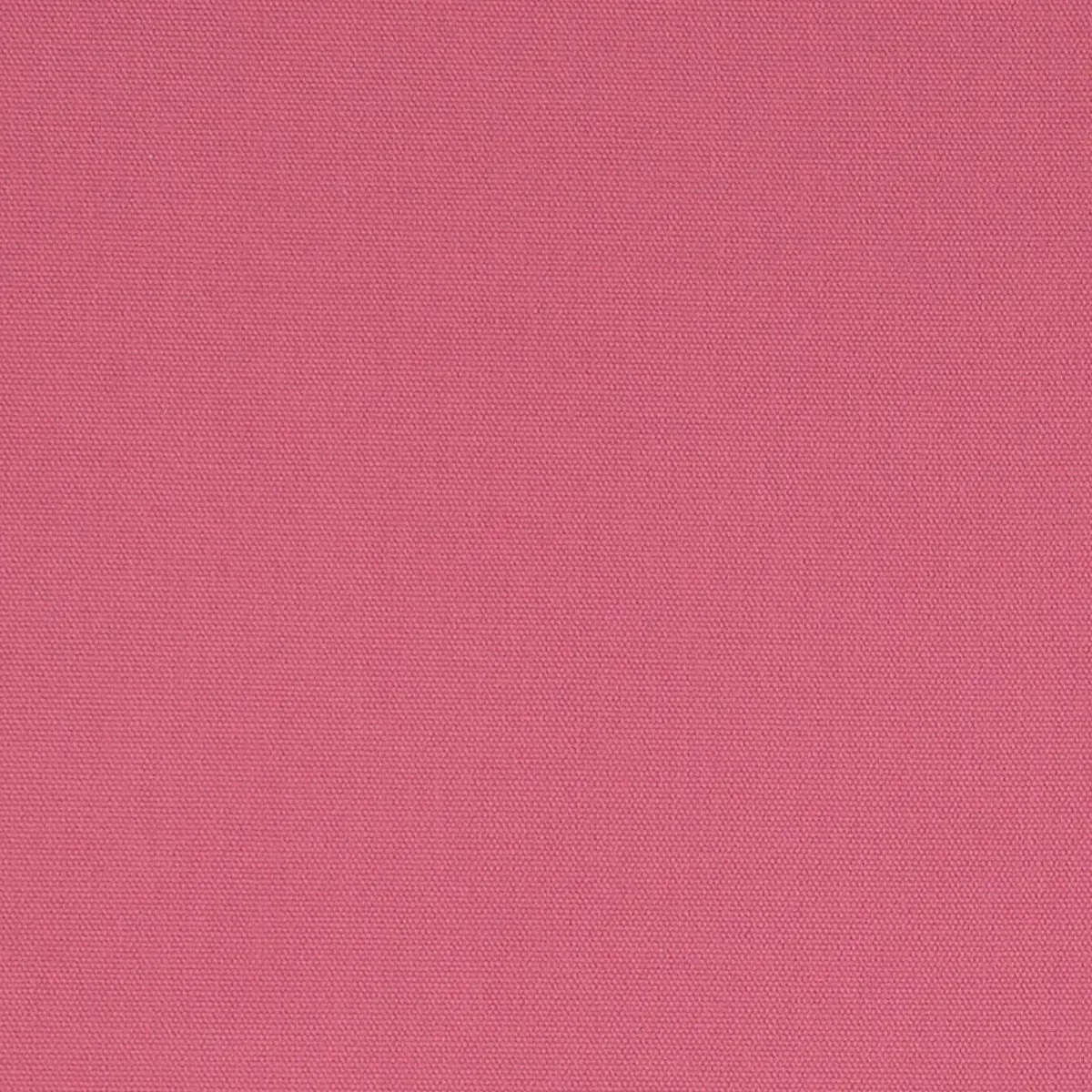 ELLIOTT BRUSHED COTTON_ WOODROSE