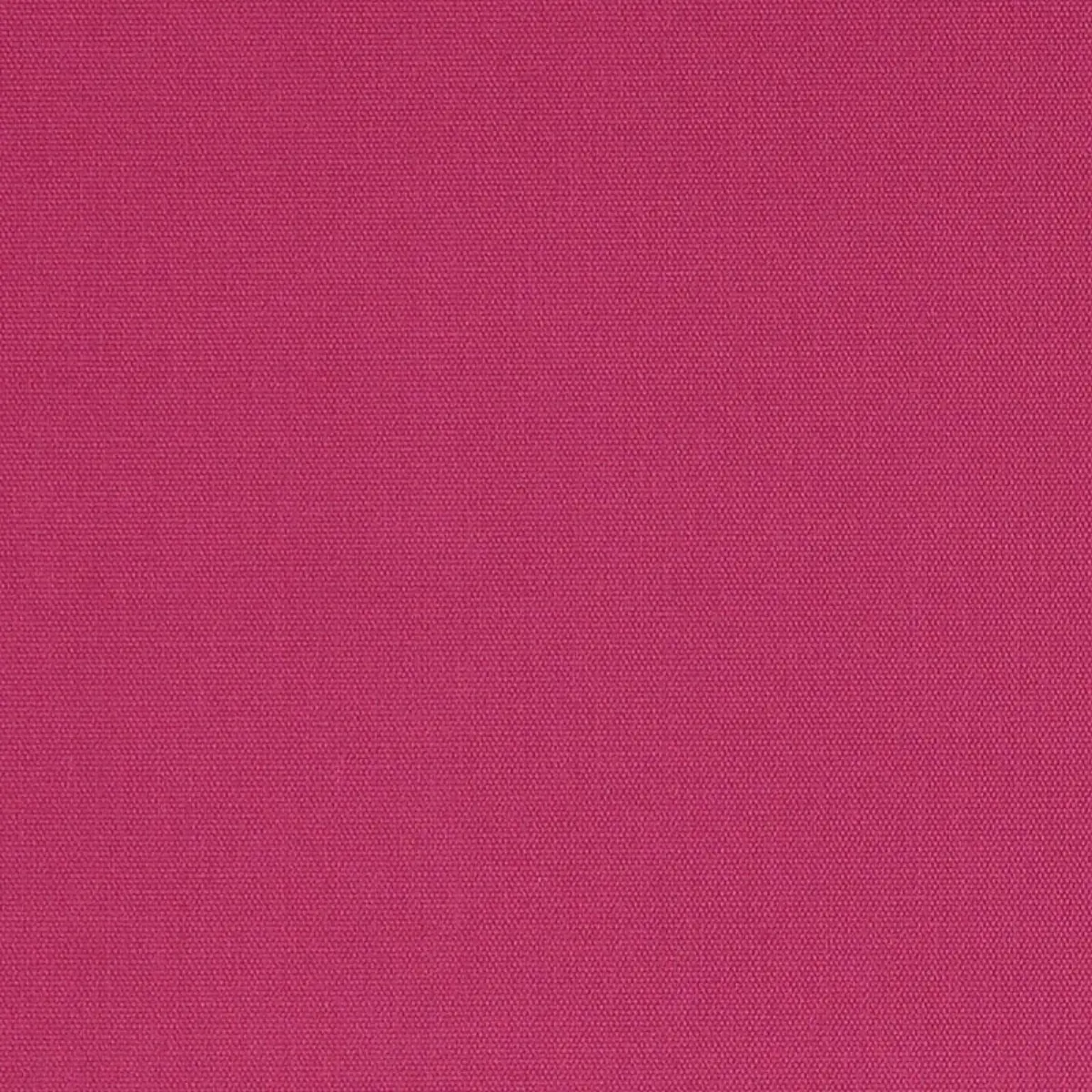 ELLIOTT BRUSHED COTTON_ MAGENTA