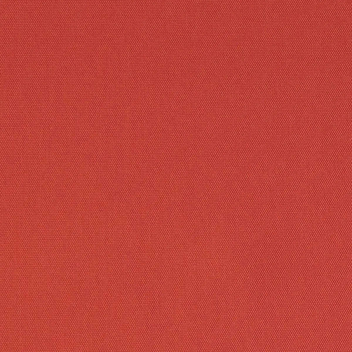 ELLIOTT BRUSHED COTTON_ PERSIMMON