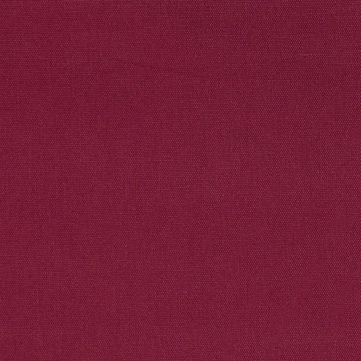 ELLIOTT BRUSHED COTTON_ GARNET