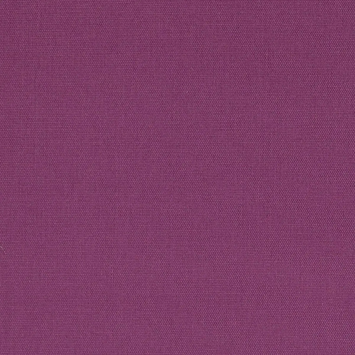 ELLIOTT BRUSHED COTTON_ CONCORD
